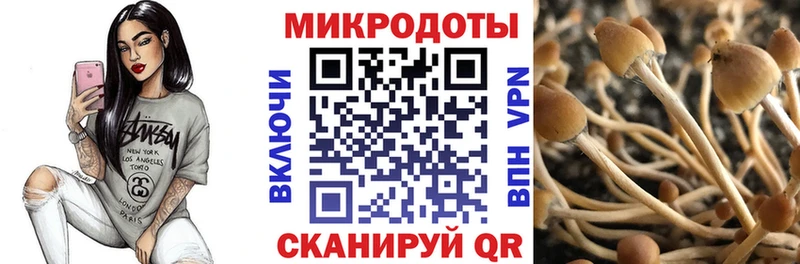 Купить где  Новая Ляля  Галлюциногенные грибы прущие грибы 